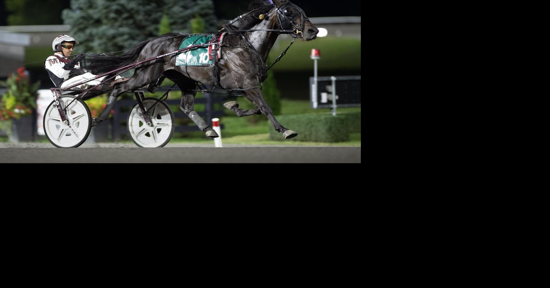 Racing Against the Odds: in-depth look at harness racing
