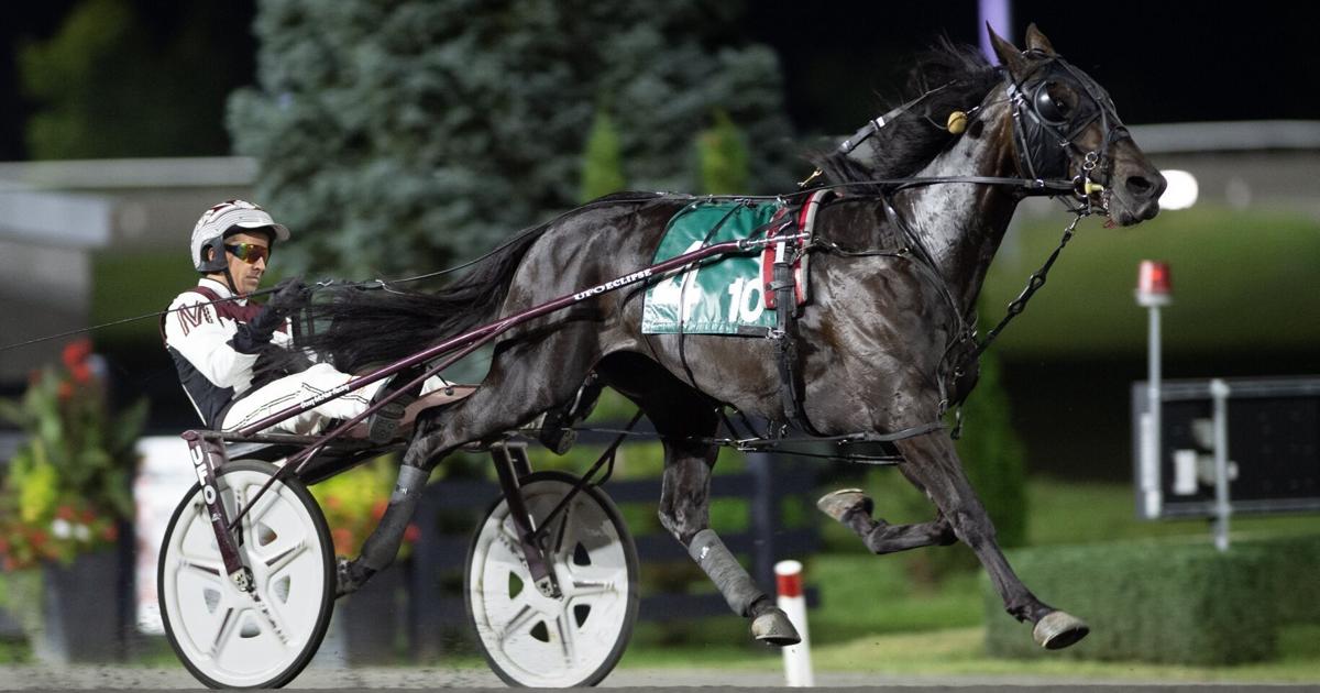 Racing Against the Odds: in-depth look at harness racing