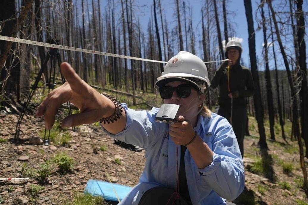 Takeaways on AP's story about challenges to forest recovery and