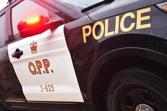 Puslinch resident facing spousal abuse charges after 'disturbance'