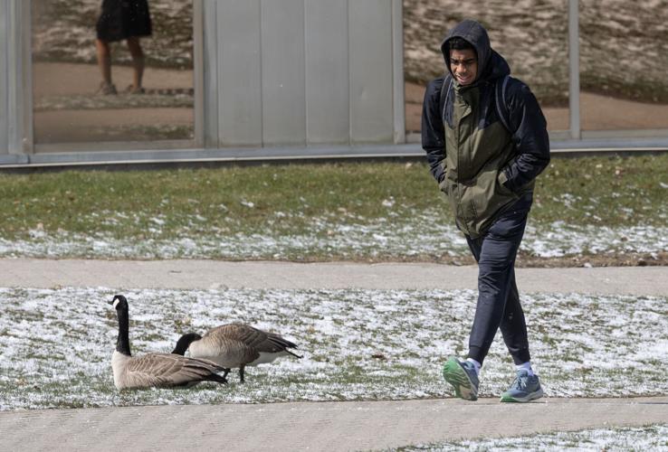 ‘Waddleloo’ map offers students safe passage from geese