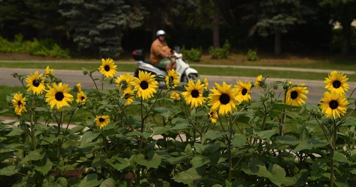 June gave us average weather, but July is off to a sticky start