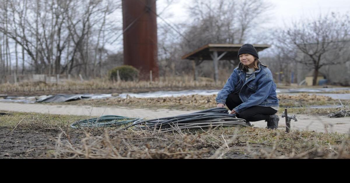 Kitchener’s ‘hidden gem,’ the market garden, grows no more