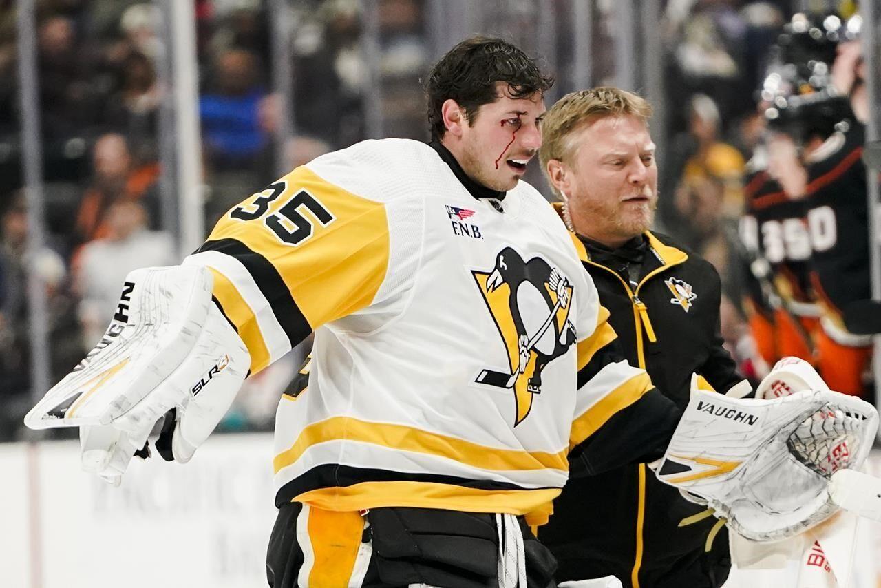 bryzgalov mask star wars