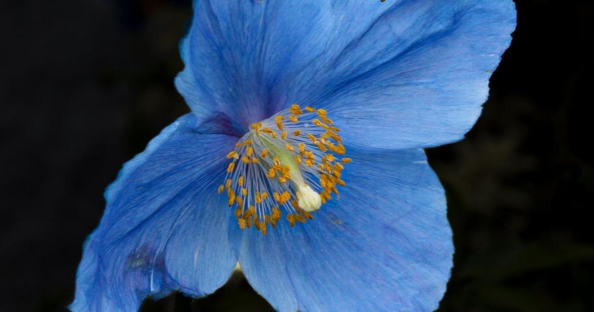 In the Garden: Keeping hope alive