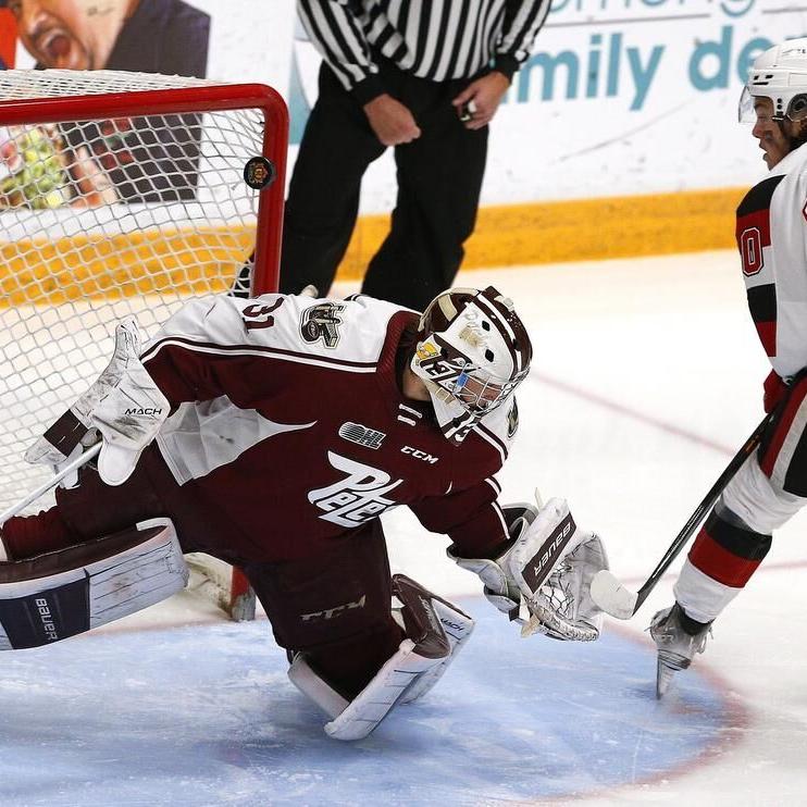 Peterborough Petes captain Shawn Spearing to miss start of OHL