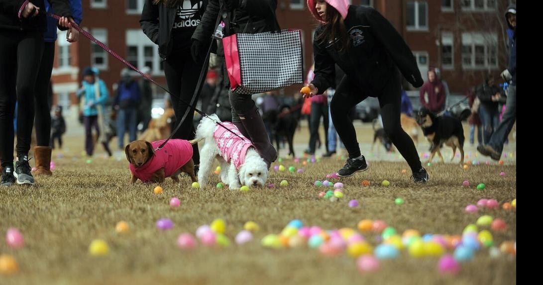 Things To Do in Waterloo Region Easter weekend (April 7 April 9)