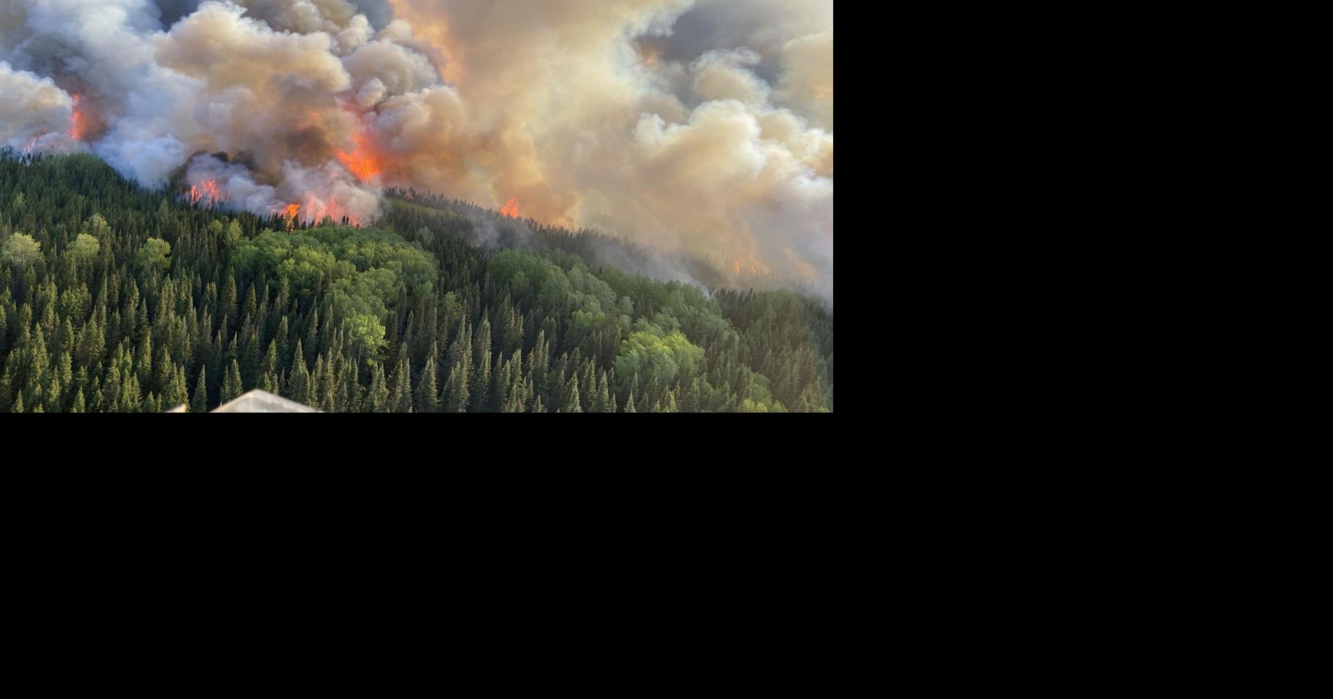 Toxic wildfire smoke will affect Waterloo Region: UW study