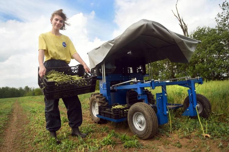 Green is good as Barrie’s Asparagus farm goes electric