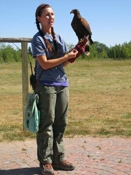 Alberta Birds of Prey Centre in Coaldale, Alberta