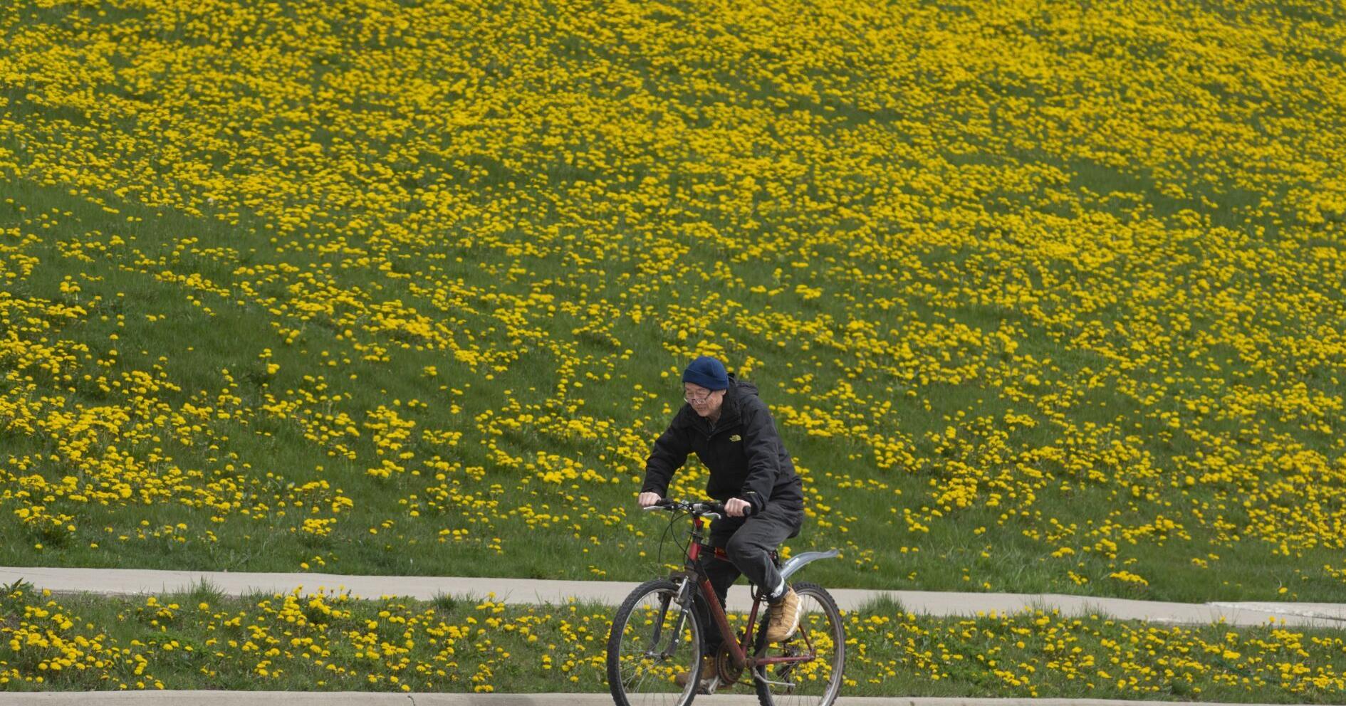 Waterloo Region Record morning update for Apr. 30 - Vimarsana News