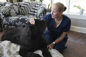 How to navigate the end of your pet's life