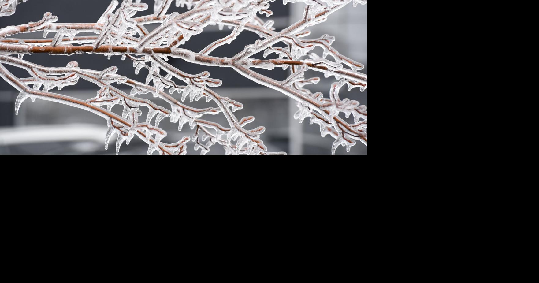 Parts of Ontario could see ‘significant freezing rain’ Wednesday with 20 mm of ice buildup possible