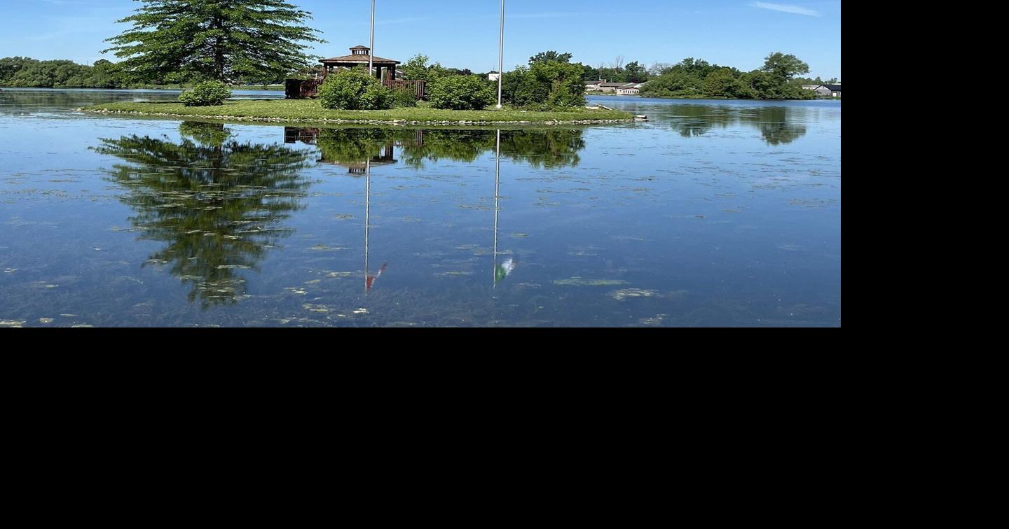 Clean-up at Alexandria’s Island Park