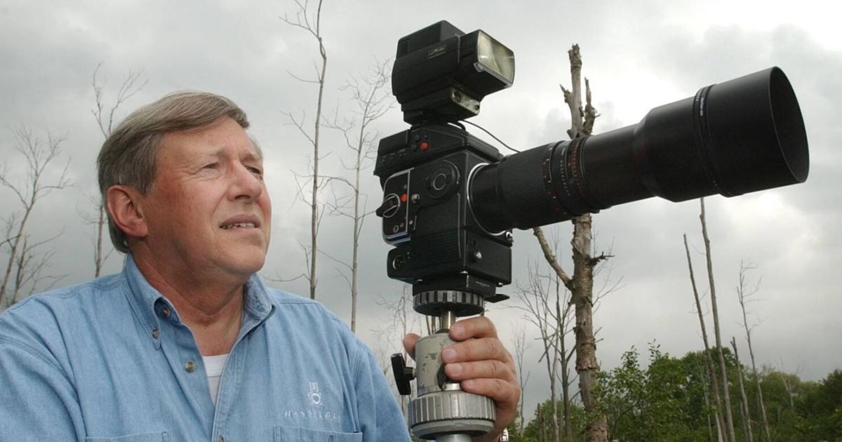 Fearless Peter Bisset scaled great heights for wildlife photos
