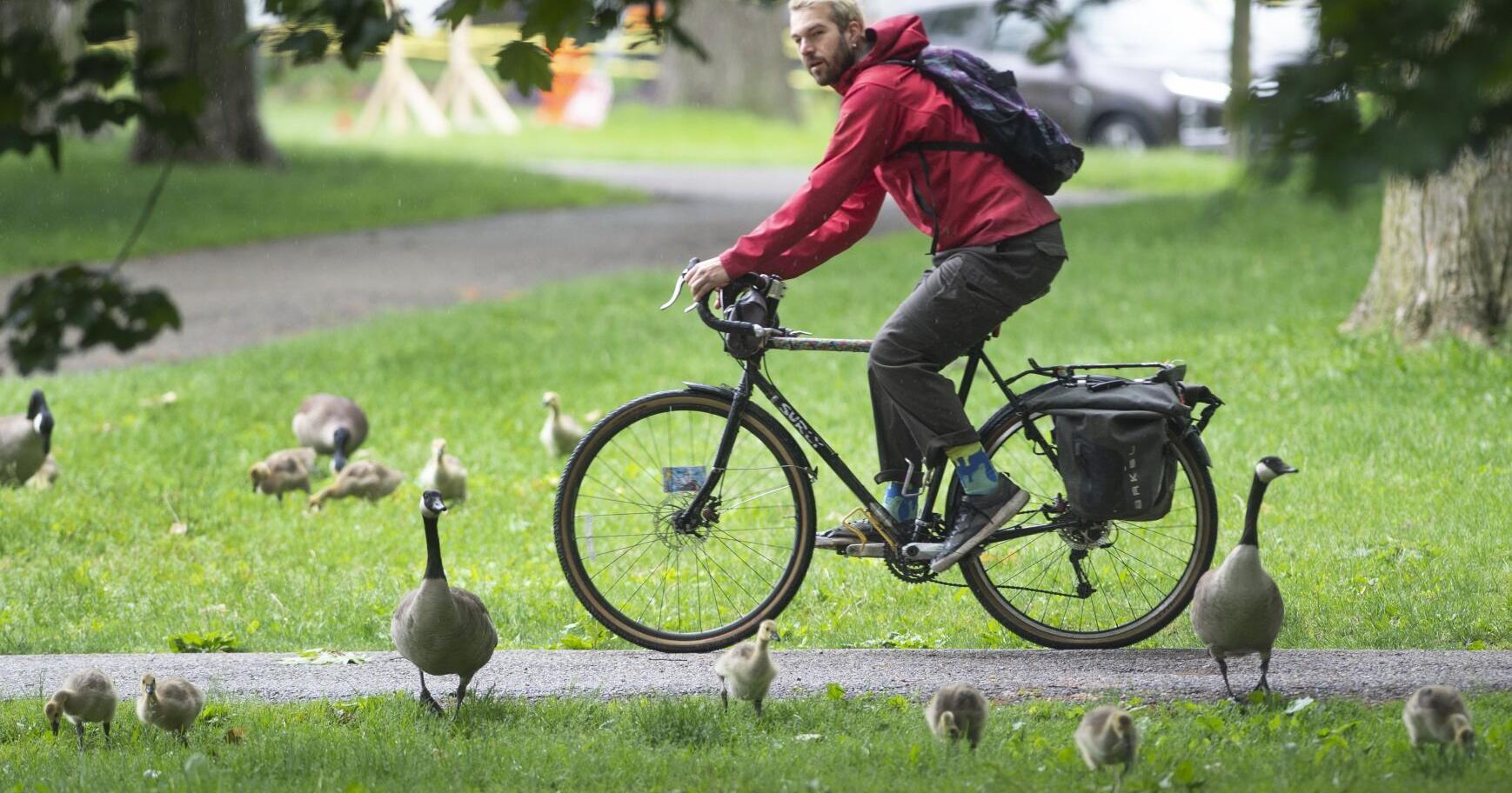 Waterloo Region Record morning update for May 29 - Vimarsana News