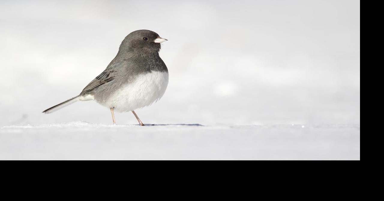 Explore the outdoors in Waterloo Region