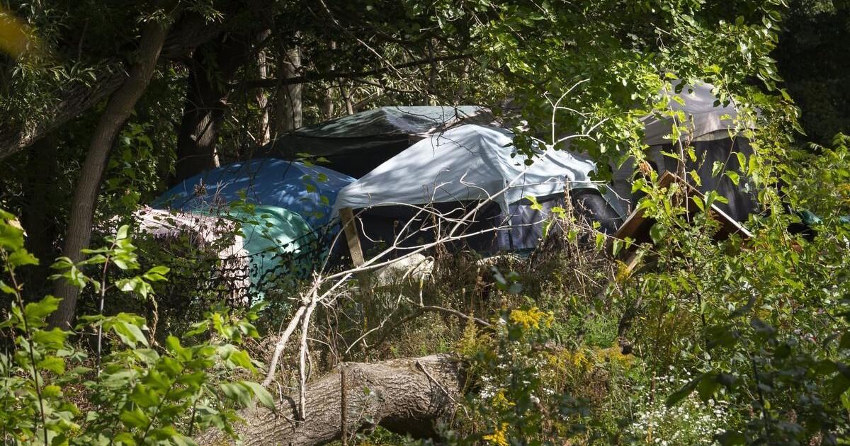 Two in three people in the Cambridge shelter for homeless women are over 50. Luisa D’Amato asks: What does that tell us about this vulnerable population? 