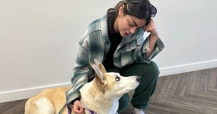 “This dog has really been a big part of my life, and he wouldn’t have been if someone else didn’t bring their own dog in,” Canadian Animal Blood Bank development manager Nicole Arruda-Reese said.
