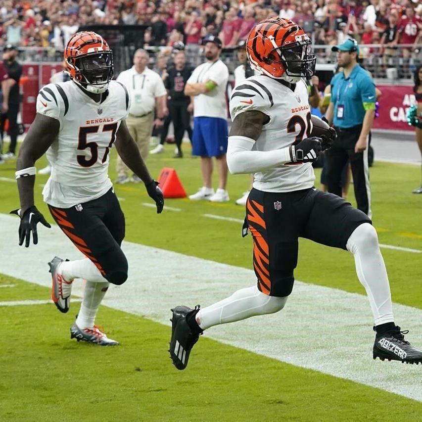 Cardinals lament missed opportunities in 34-20 loss to Bengals