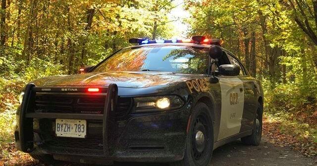 Cambridge man charged by OPP in child luring investigation