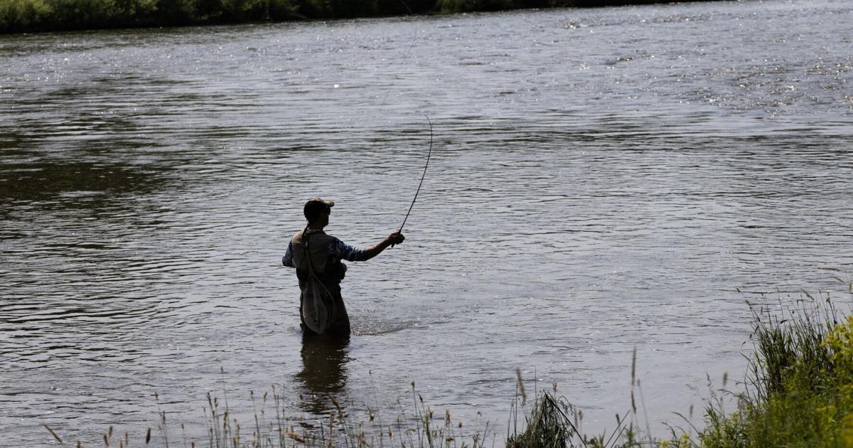 Simple changes can ease strain on Waterloo Region’s water supply, and homeowners’ wallets