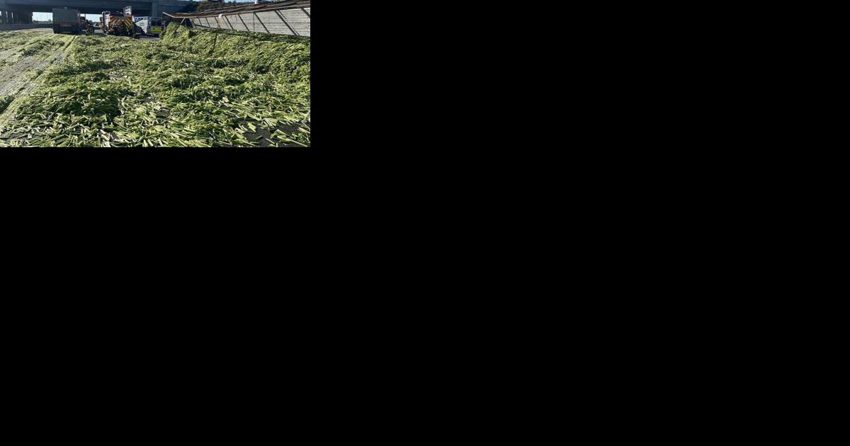 OPP roundup: Vegetable shuts down Highway 400 - Vimarsana News
