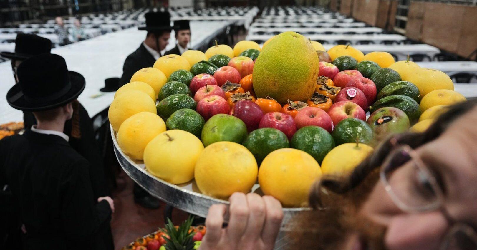 Photos of Hasidic Jews celebrating the  New Year of Tree in Israel