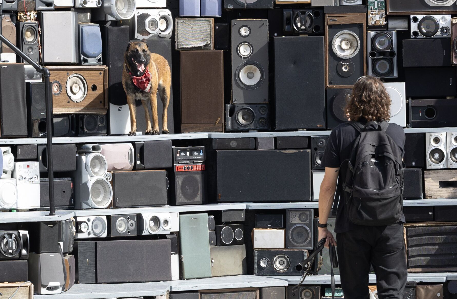 CAFKA hosts 'communal sonic experience' exhibit in Kitchener