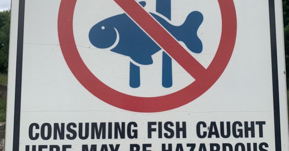 Conclusion Fish Sign Letters to the editor: Warning sign has a powerful history