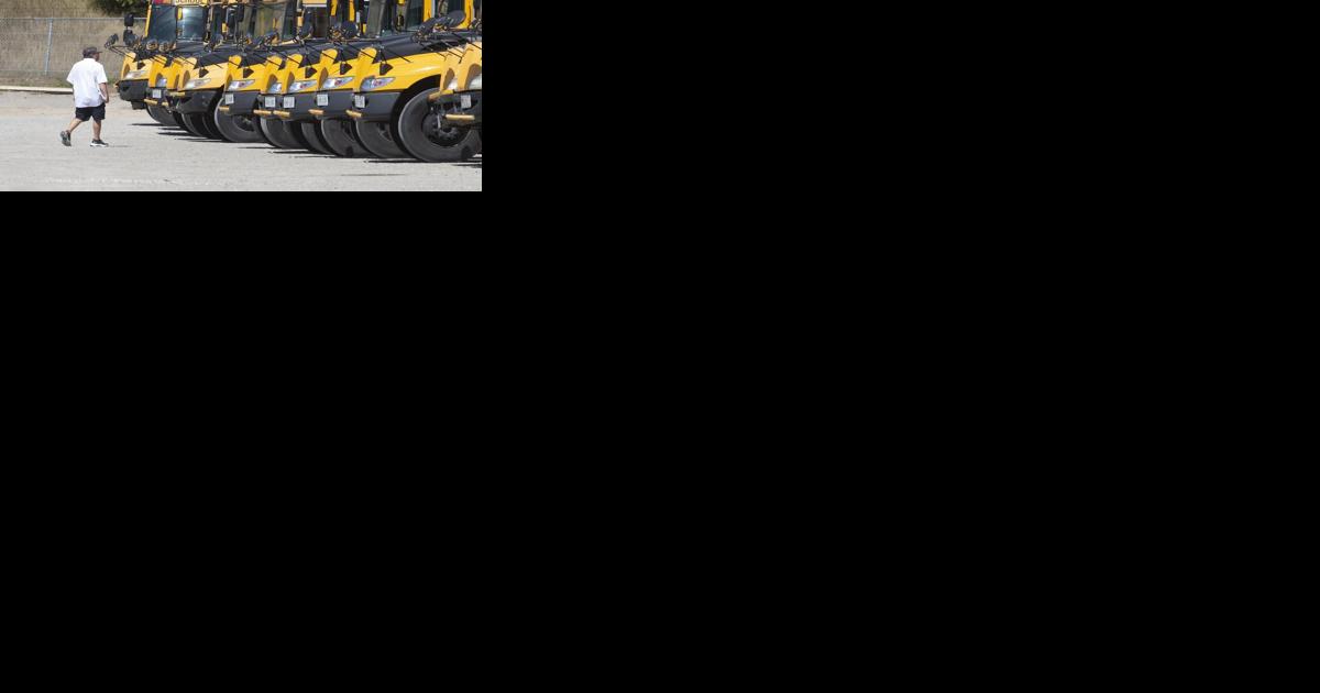 No cure for sick school bus drivers - Vimarsana News