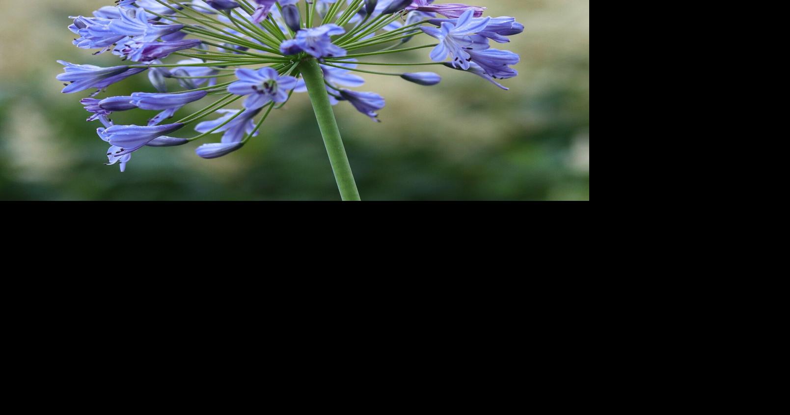 David Hobson discusses climate and weather changes