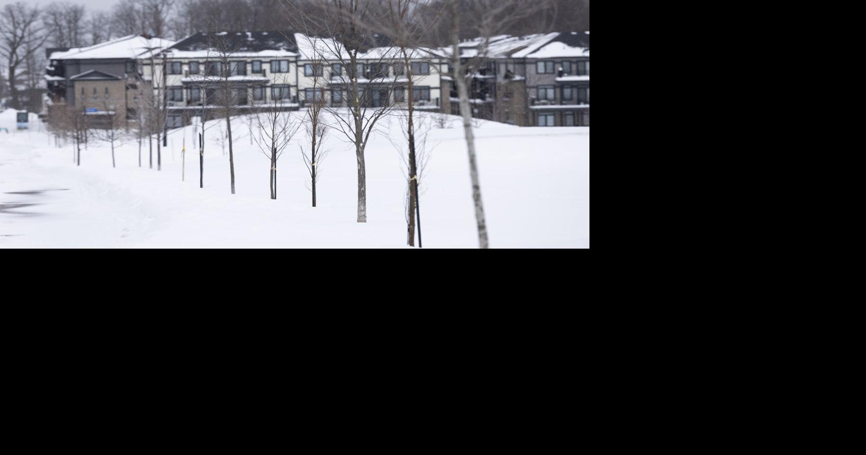 A Drumbo landscaping company is appealing a $10,000 fine for replanting trees without locates, citing a misunderstanding and seeking withdrawal or reduction of the penalty.