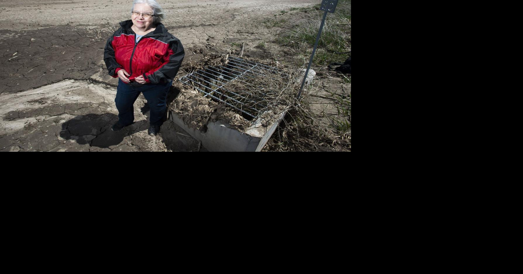 Farm bought by Region of Waterloo is losing soil to erosion, polluting river