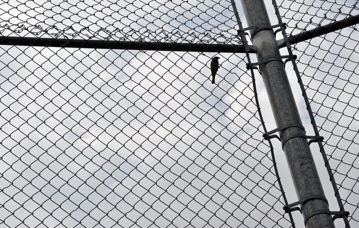 Waterloo Region Record morning update for Aug 1