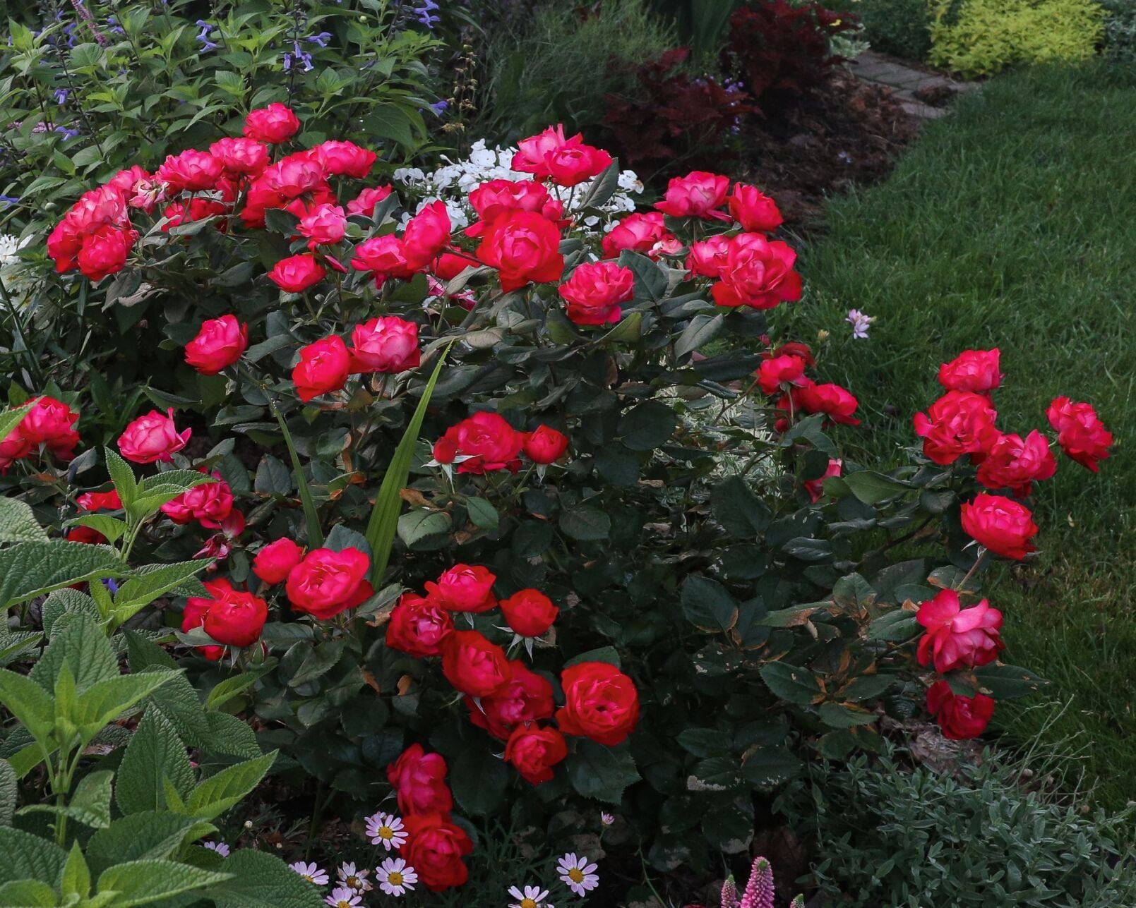 In the Garden: It’s time to weed out the underperformers