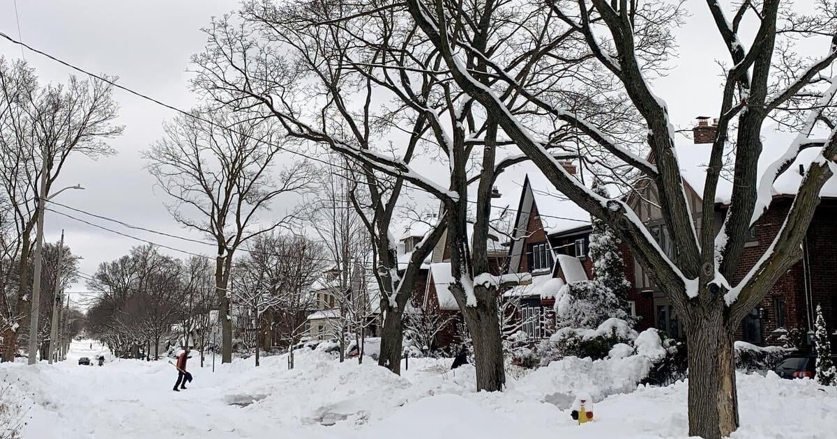 Winter lightning splits tree a tree in Waterloo as storm dumps 27 cm of ...