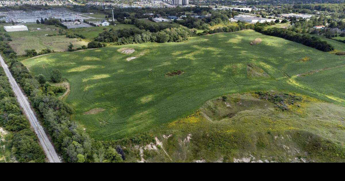 Rural land near Kitchener marketed for development potential