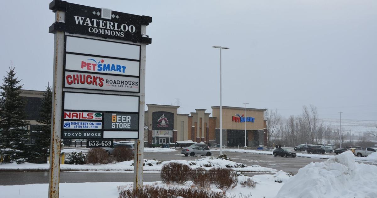 Waterloo Store New grocery store part of expansion plan for Waterloo plaza