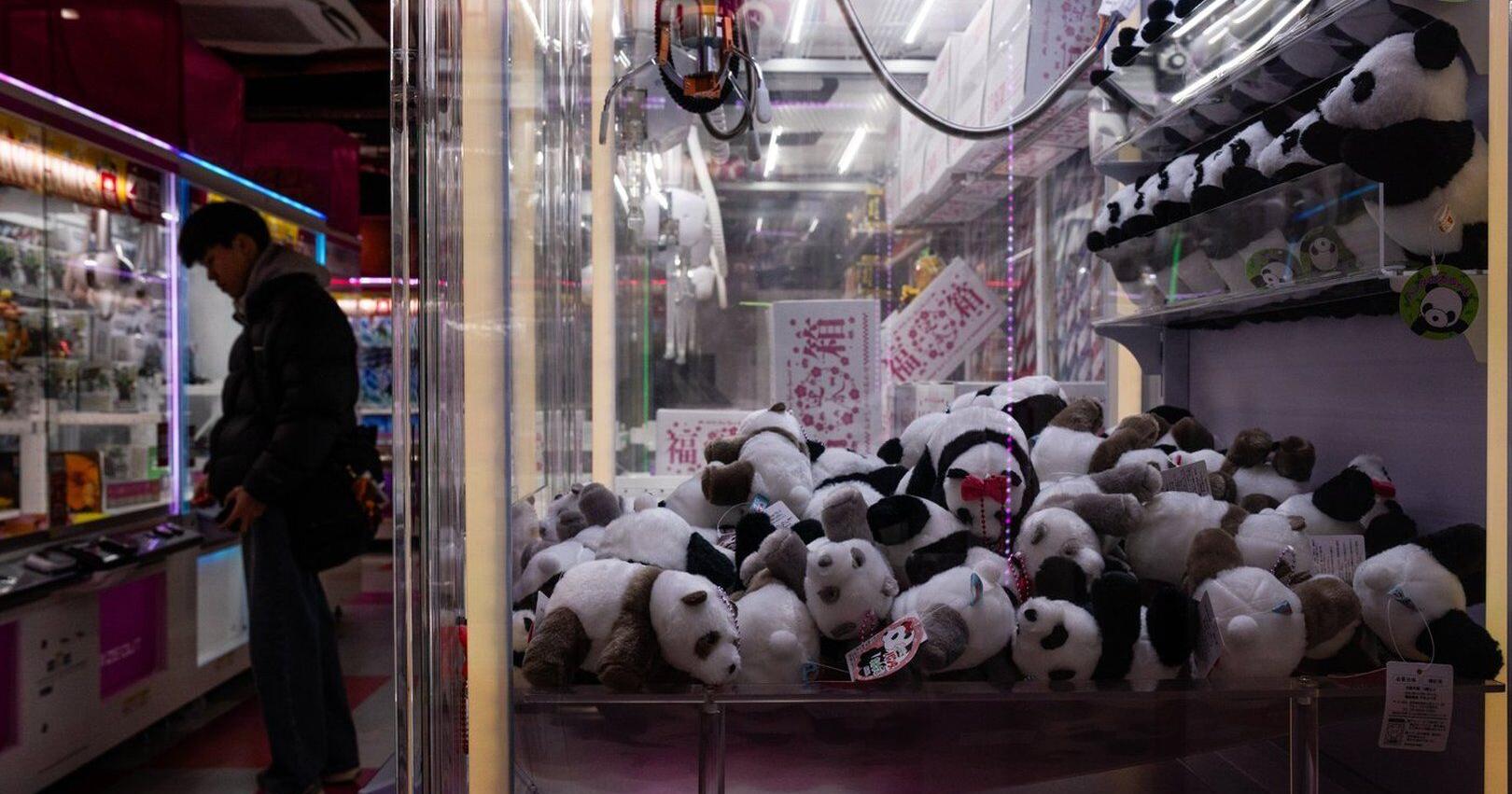 The last two pandas in Japan are leaving for China as ties are strained