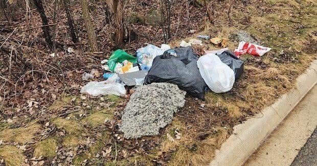 ‘It can be very tough to feel proud of a space or a city when it’s covered in someone’s garbage,’ Coun. Scott Hamilton says