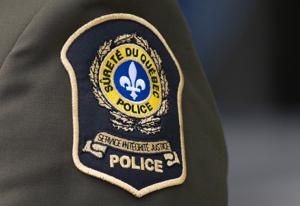 Police dismantle alleged fraud ring that targeted car dealerships in 5 provinces