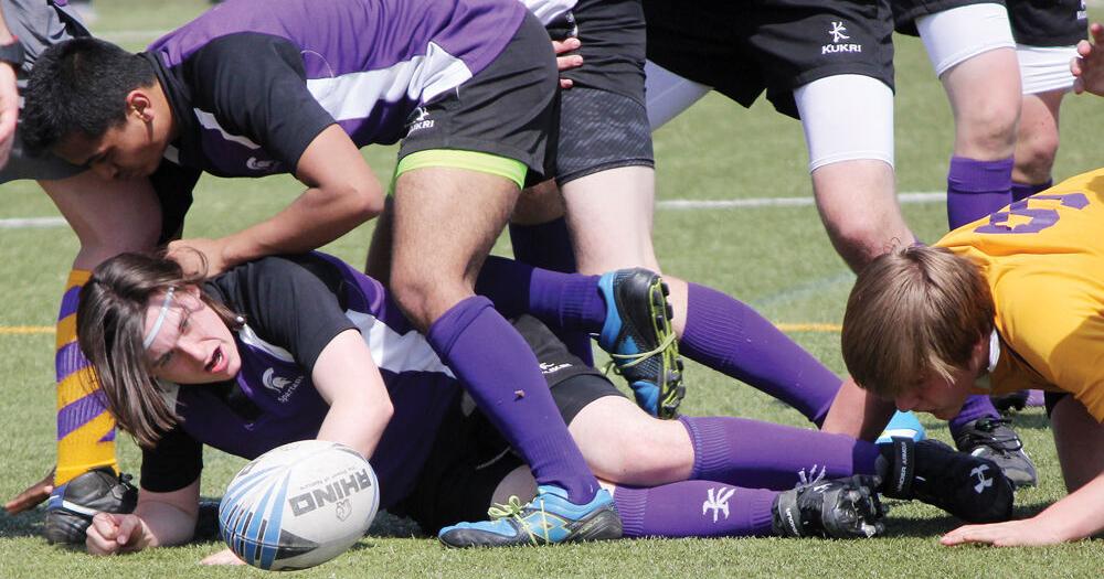 Strong starts for Ross Royals rugby teams