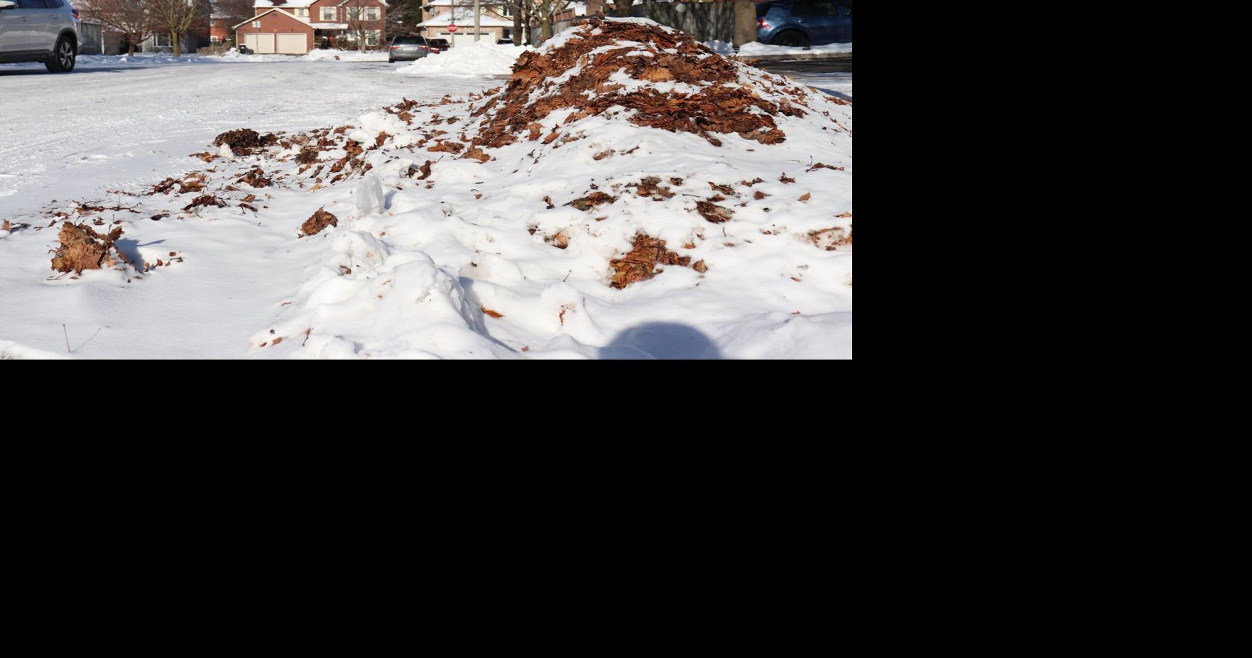 The recent snowfall has the city putting their resources behind cleaning up snow, not leaves.