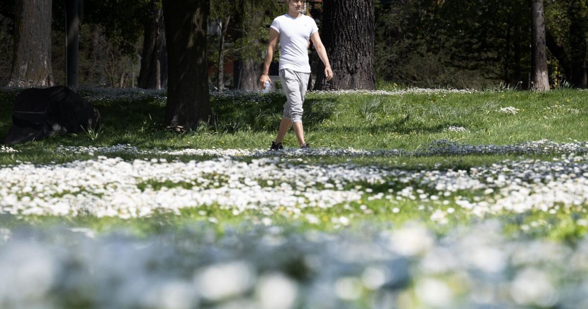 May in Waterloo Region was unusually cold and dry