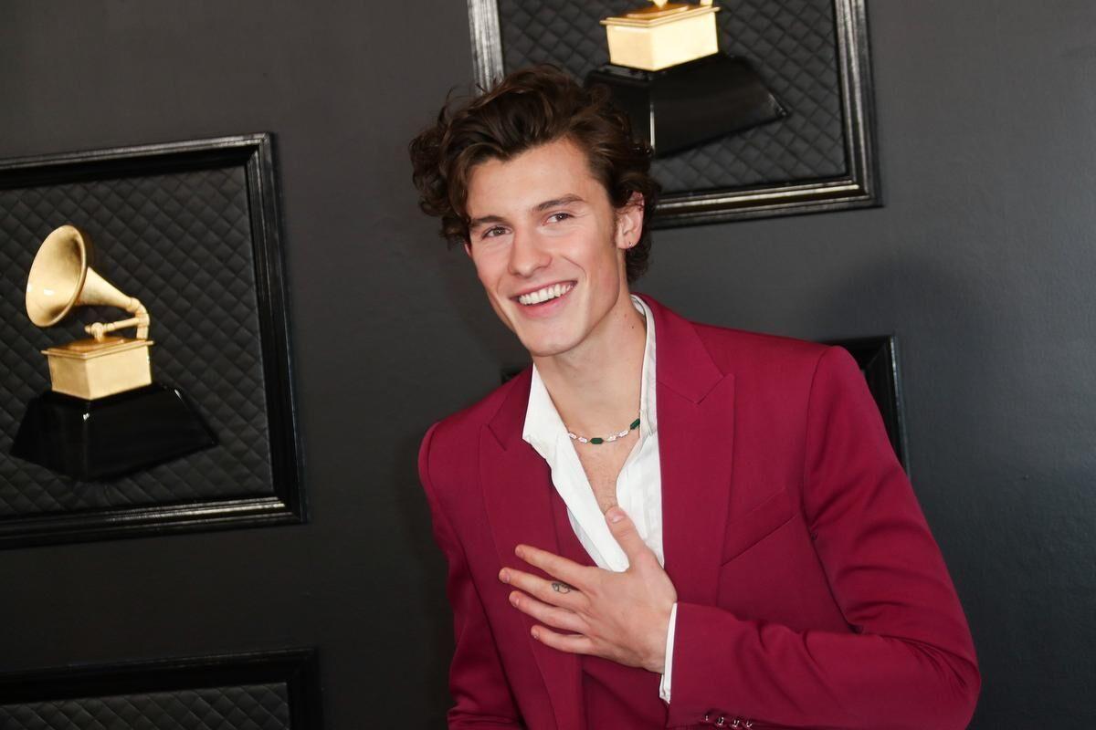 Why Shawn Mendes Is Getting Backlash for What the Hell Are We