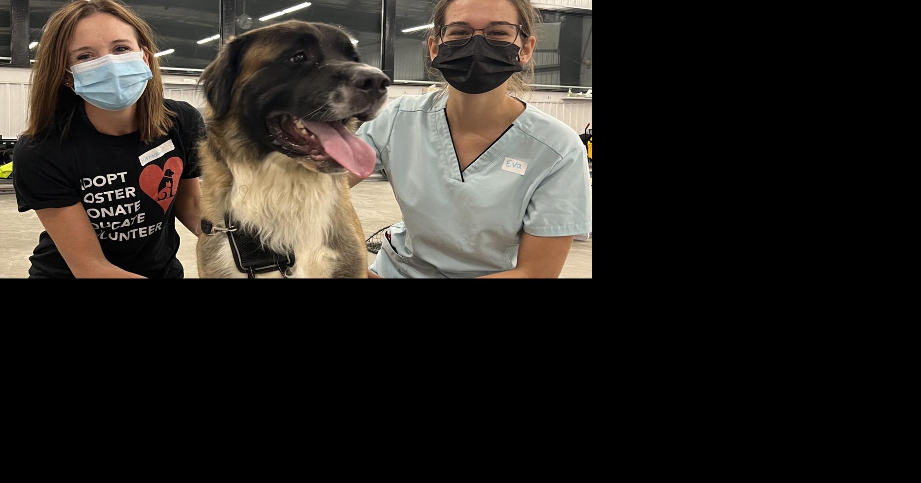 Guelph Humane Society offers vet care to low pet owners