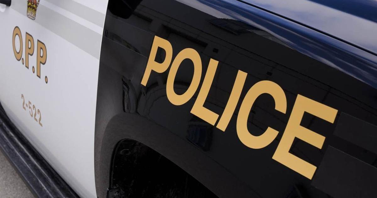 Three charged in Dufferin-Wellington shoplifting spree - Vimarsana News