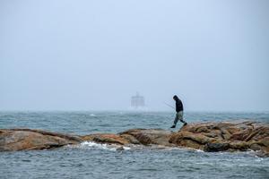 Report shows steady improvement in Long Island Sound water quality