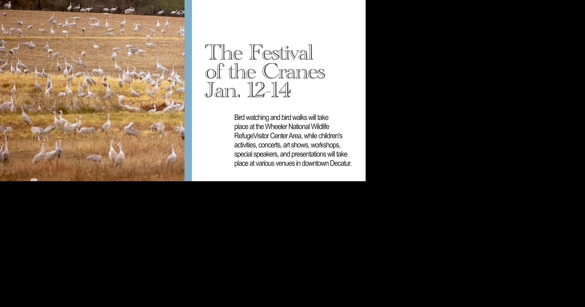 Mark your calendar 2024 Festival of the Cranes Multimedia